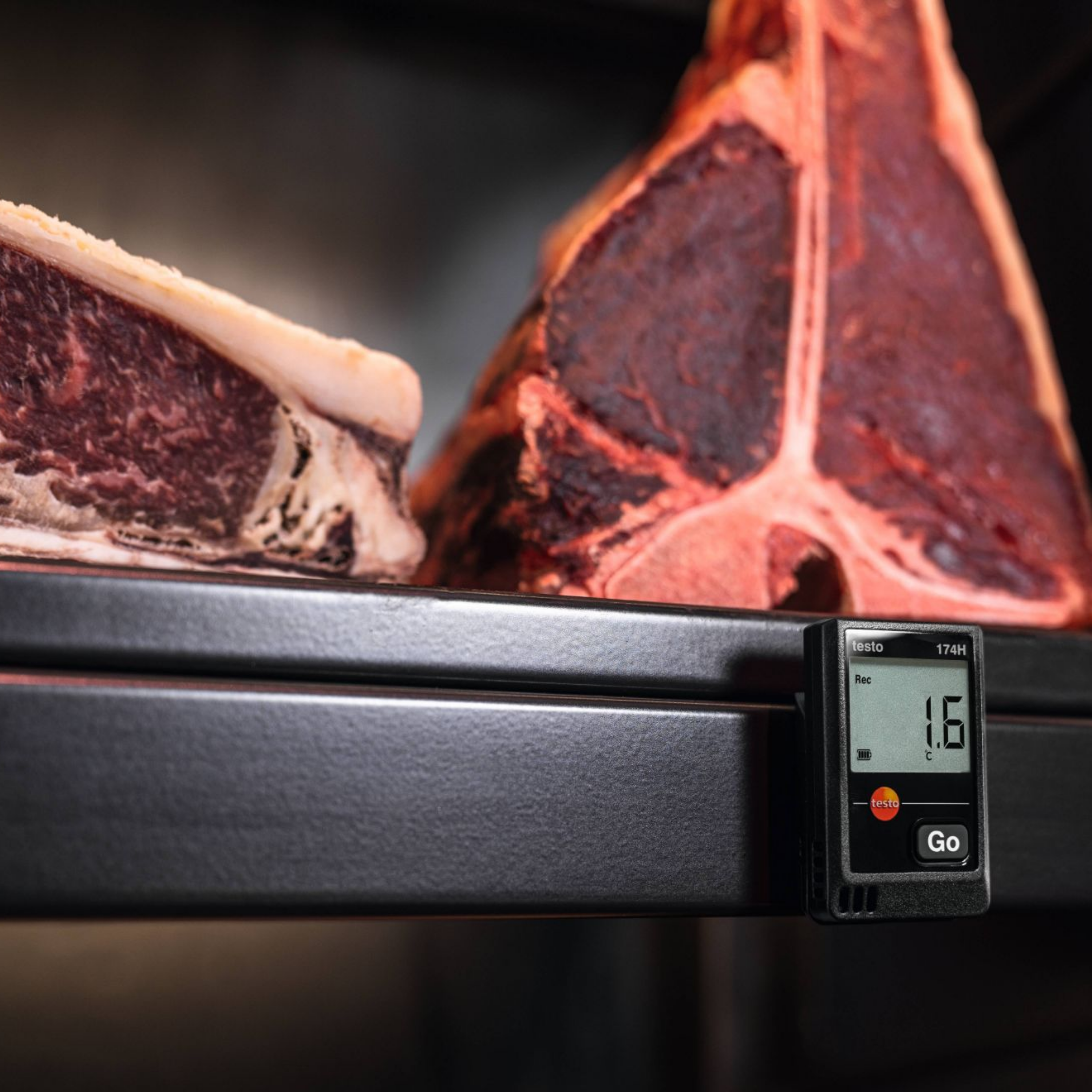 Data logger Para Temperatura e Umidade | Testo 174 H - Imagem 2